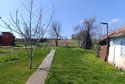 Casă cu Teren 10000 Mp în Ionășeni (Trușești)