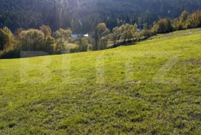 Casă cu 3 camere cu Teren 400 Mp în Central