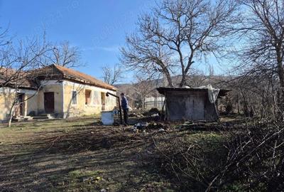 Casă în Brâncoveanca