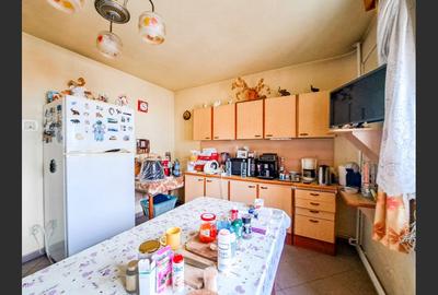 Casă cu 6 camere cu Canalizare în Sub Arini - 18