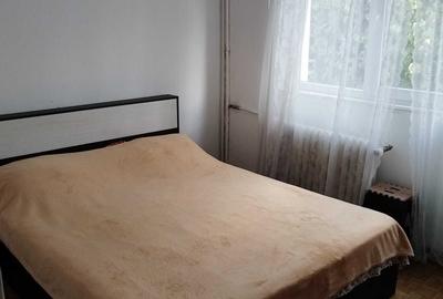 Apartament cu 2 camere semidecomandat în Valea Rosie - 8