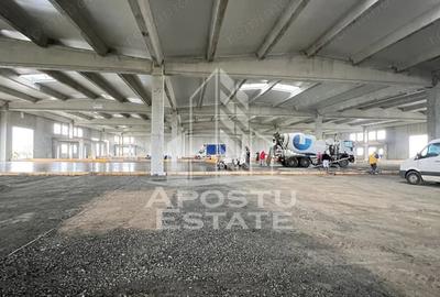 Spațiu comercial, de 523 mp, în Sânandrei - 6