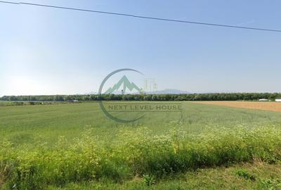 Teren Construcții intravilan de 9950 mp, în Stupini - 3