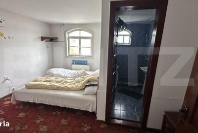 Spațiu comercial, de 888 mp, în Aurel Vlaicu