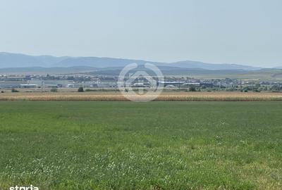 Teren de 20500 mp, în Central