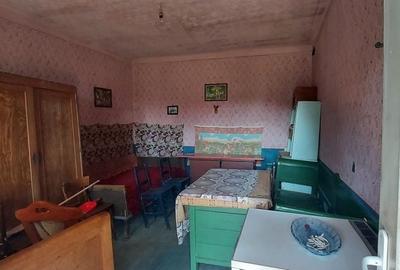 Casă cu 4 camere în Iacobeni