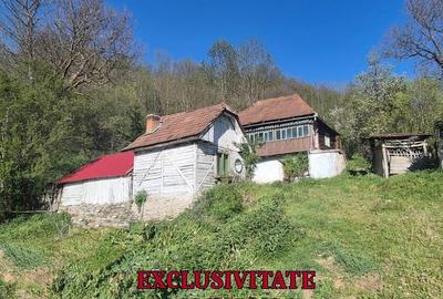 Casă individuală cu 3 camere cu Teren 2834 Mp în Ocoliș