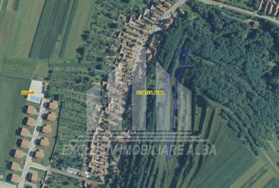 Teren agricol extravilan de 7200 mp, în Ciugud - 1