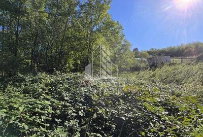 Teren de 3260 mp, în Cuied - 3