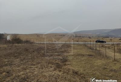 Teren Construcții intravilan de 1131 mp, în Chinteni - 3