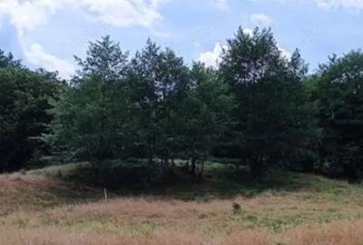 Teren de 17000 mp, în Nucșoara - 3