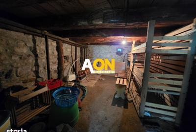 Casă cu 3 camere cu Teren 7050 Mp în Pianu