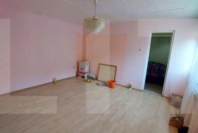 Casă cu 3 camere semidecomandat cu Teren 310 Mp în Micălaca - 12