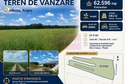 Teren agricol extravilan de 62600 mp, în Albota - 1