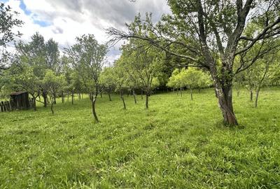 Teren de 3102 mp, în Blănoiu - 4