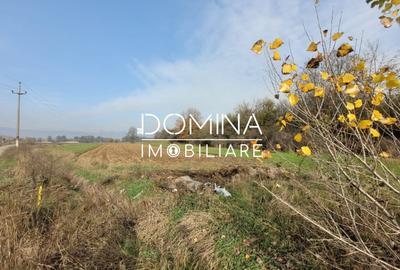 Teren Construcții intravilan de 1654 mp, în Ursați - 3