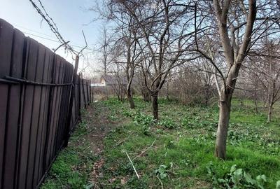 Teren de 1500 mp, în Livada - 3