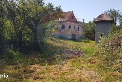 Casă cu 3 camere cu Teren 2140 Mp în Ideciu de Jos - 3
