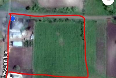 Casă cu 4 camere cu Teren 6000 Mp în Havârna - 1