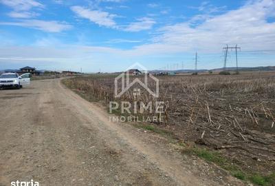 Teren de 8300 mp, în Central