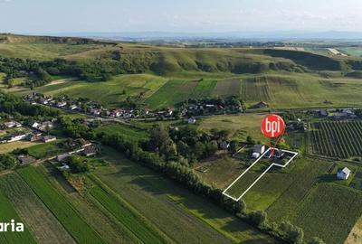 Teren de 2000 mp, în Vulturești - 6