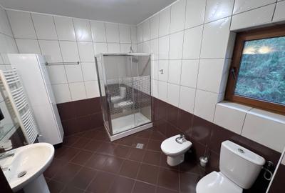 Casă individuală cu 4 camere cu Canalizare în Iancu Nicolae - 29
