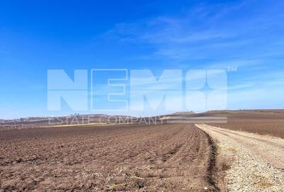 Teren agricol extravilan de 10000 mp, în Stroiești - 8
