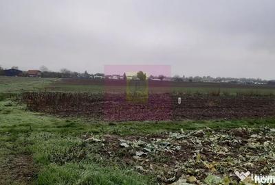 Teren de 2250 mp, în 1 Decembrie