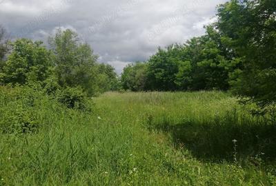Teren de 1850 mp, în Calvini - 3