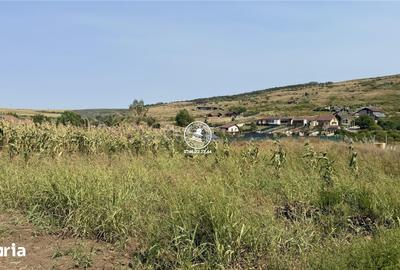 Teren de 700 mp, în Aroneanu