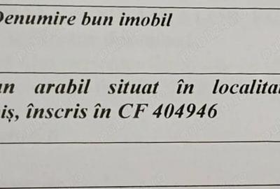 Teren de 678 mp, în Pișchia - 3