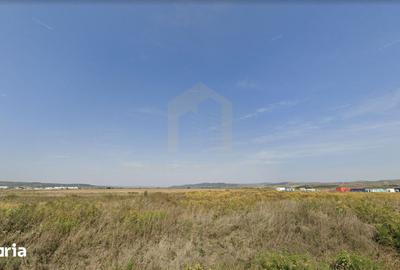 Teren de 37000 mp, în Jucu