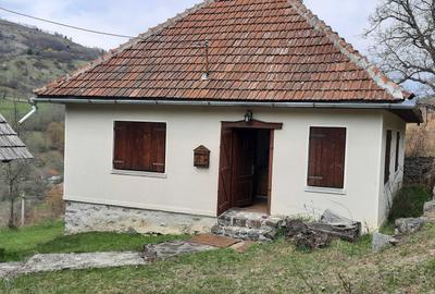 Casă cu 3 camere în Brad - 1