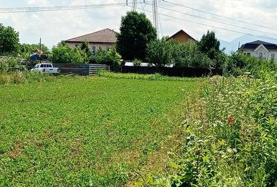 Teren de 1010 mp, în Stupini