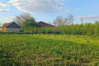 Casă cu 4 camere în Grăniceri - 2