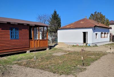 Casă cu 5 camere cu Teren 790 Mp în Roata de Jos