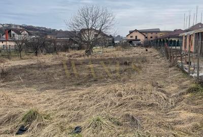 Teren Construcții intravilan de 2000 mp, în Sud - 1