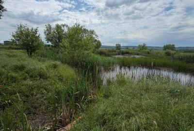 Teren de 6000 mp, în Brazda lui Novac - 8