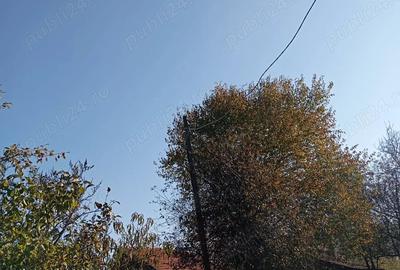 Teren de 9730 mp, în Țebea - 2