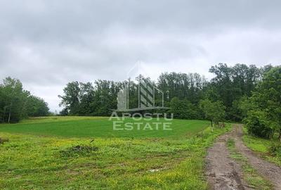 Teren de 8600 mp, în Buteni
