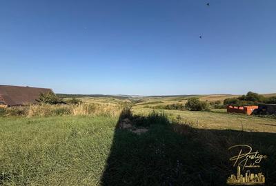 Teren Construcții intravilan de 3255 mp, în Tășad - 3