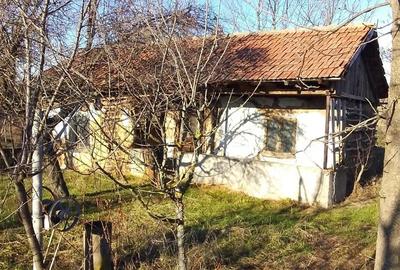 Teren de 1100 mp, în Central