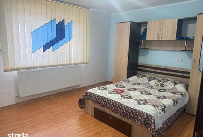 Casă cu 3 camere cu Teren 3000 Mp în Șotânga - 10
