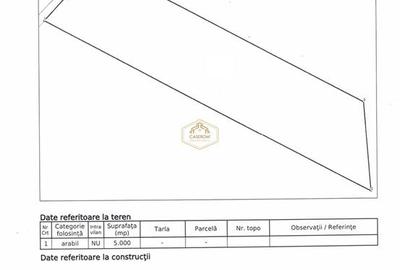 Teren agricol extravilan de 5000 mp, în Botizului - 7