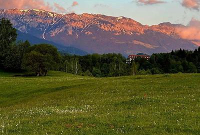 Teren agricol extravilan de 4008 mp, în Peștera