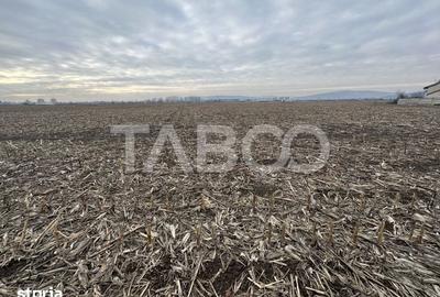 Teren de 5800 mp, în Central