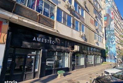 Spațiu comercial, de 190 mp, în Tei - 15