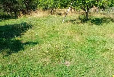 Teren de 2600 mp, în Domnești