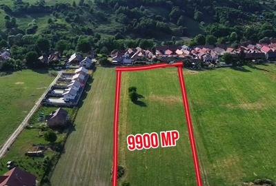 Teren agricol intravilan de 9900 mp, în Tohanu Nou - 1