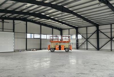 Spațiu industrial, de 570 mp, în Sud-Est - 7